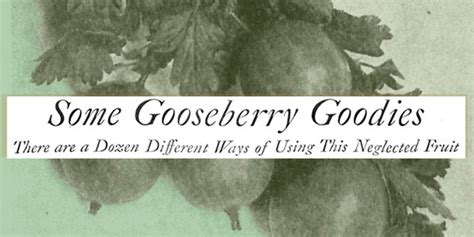 try-these-150-year-old-gooseberry-recipes-the image