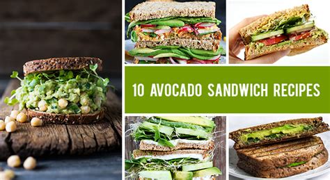 10-best-avocado-sandwich-recipes-for-avocado-lovers image