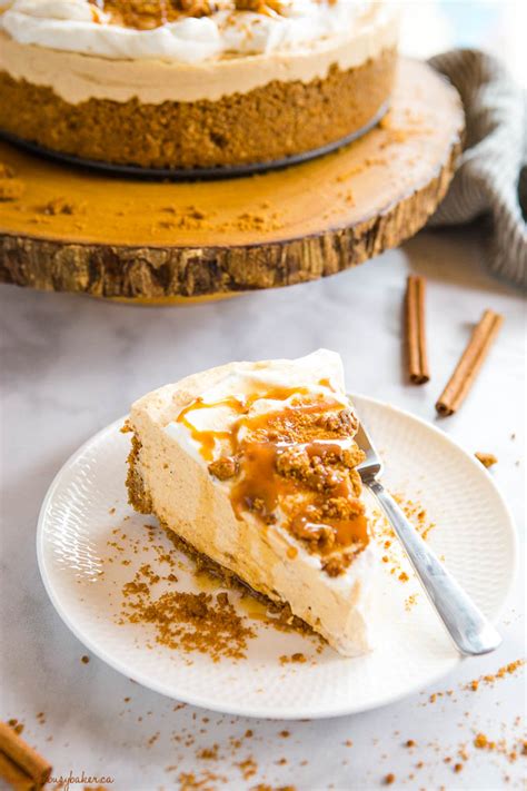 easy-no-bake-pumpkin-cheesecake-the-busy-baker image