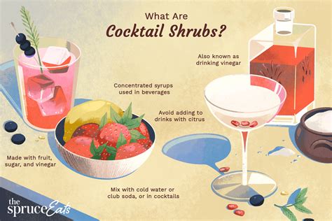 how-to-make-cocktail-shrubs-or-drinking-vinegars-the image