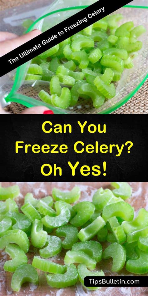3-wonderful-ways-to-freeze-celery-tips-bulletin image