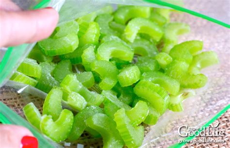 how-to-freeze-celery-grow-a-good-life image