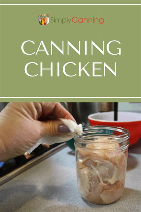 canning-chicken-raw-or-hot-pack-simplycanning image