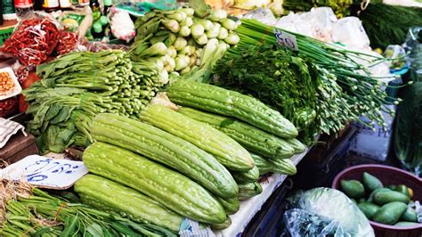 12-vegetables-from-around-asiaand-how-to-use image