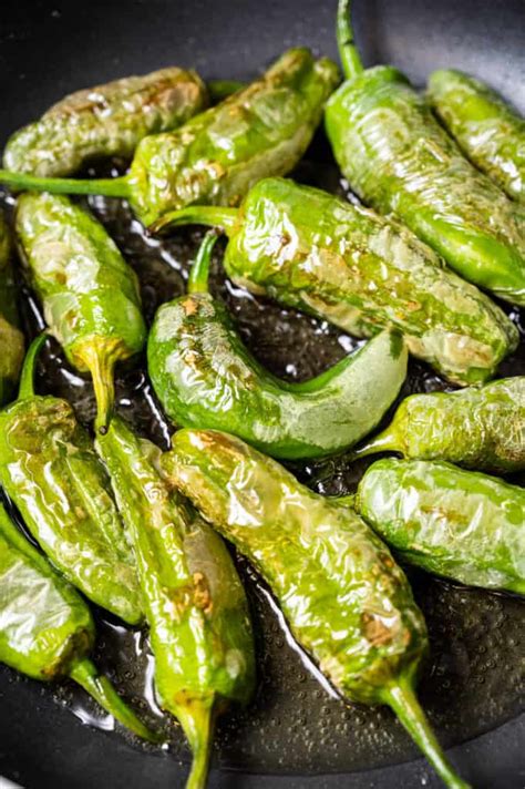 best-padron-peppers-recipe-how-to-cook-pimientos-de image