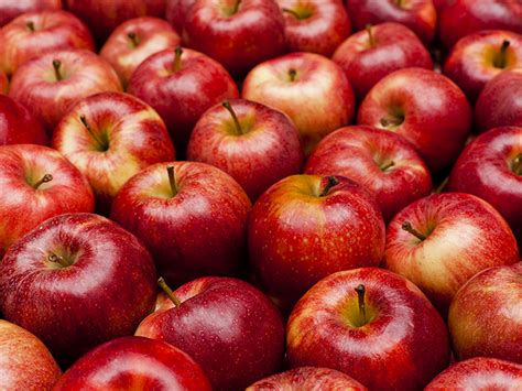 do-apples-affect-diabetes-and-blood-sugar-levels image