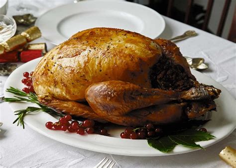 roast-turkey-with-stuffing-and-gravy image