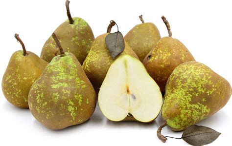 winter-nellis-pears-information-recipes-and-facts image