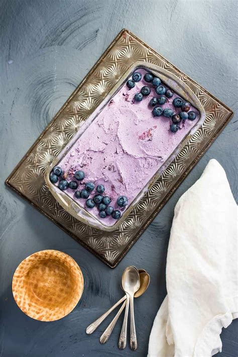 blueberry-ice-cream-egg-free-renee-nicoles-kitchen image