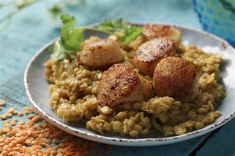 moroccan-lentils-with-scallops-lentilsorg image