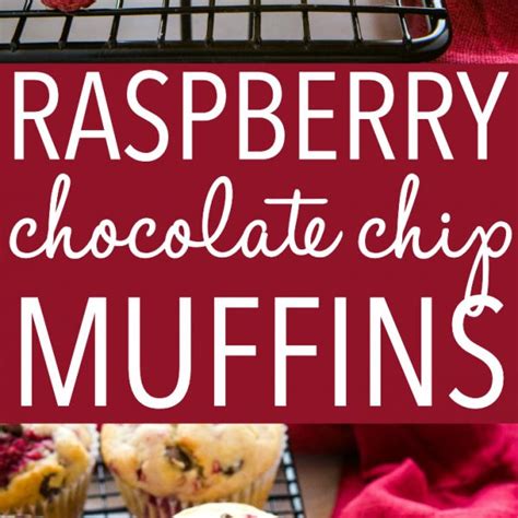 raspberry-muffins-with-chocolate-chips-the-busy-baker image