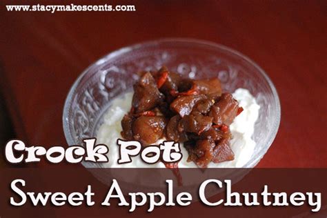 crock-pot-sweet-apple-chutney-humorous image