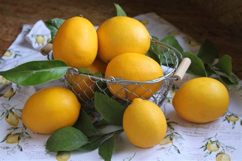 sicilian-whole-lemon-cake-using-an-entire-lemon image