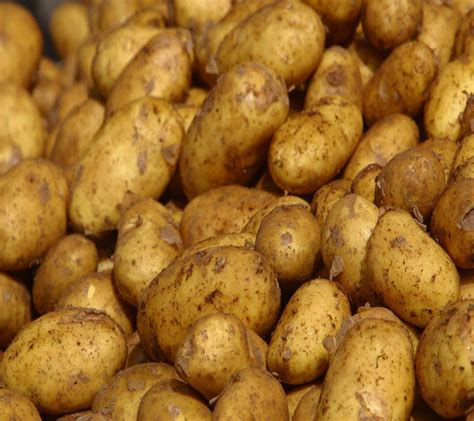 potato-croquettes-lidia-bastianich image