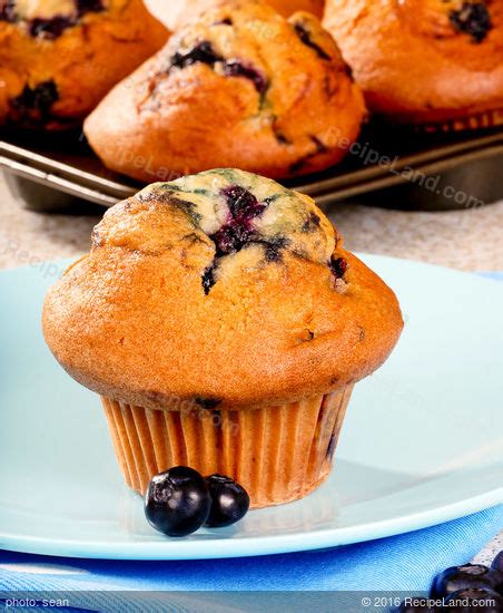 jumbo-blueberry-muffins-recipe-recipelandcom image
