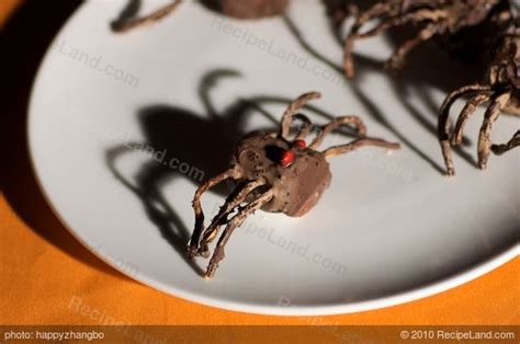 halloween-chocolate-spiders-recipe-recipelandcom image