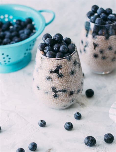 blueberry-chia-pudding-blueberryorg image