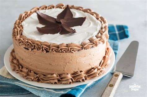 mocha-torte-with-mocha-butter-cream-frosting image