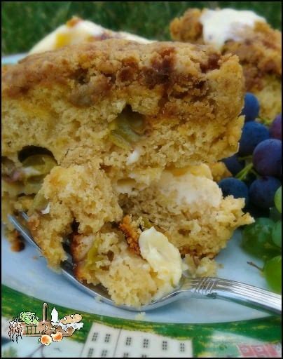 grape-coffee-cake-with-crumble-topping-homestead image