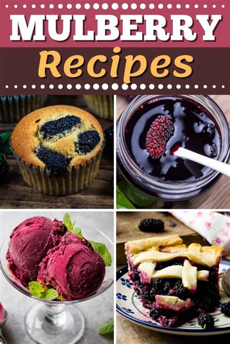 20-best-mulberry-recipes-insanely-good image
