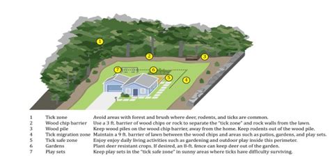 preventing-ticks-in-the-yard-ticks-cdc-centers-for image