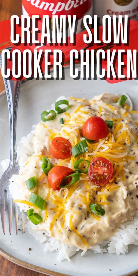 creamy-slow-cooker-chicken-how-to-make-it-i image