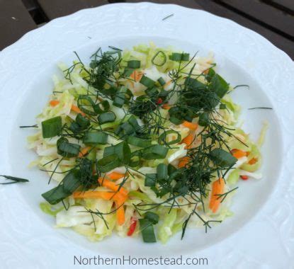 make-ahead-overnight-coleslaw-recipe-northern image