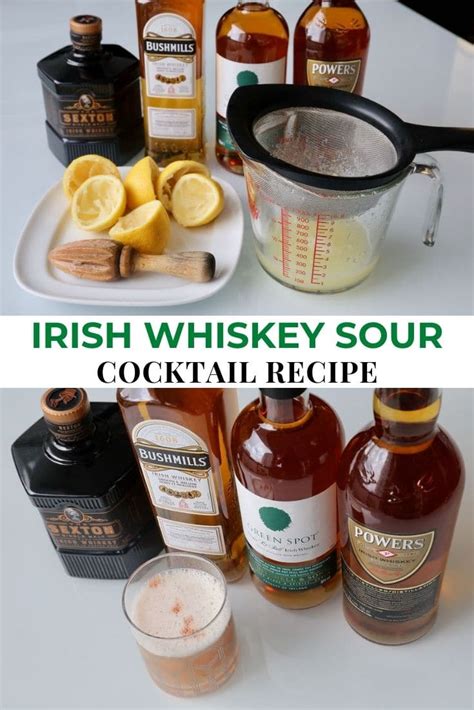 irish-whiskey-sour-drink-cocktail image