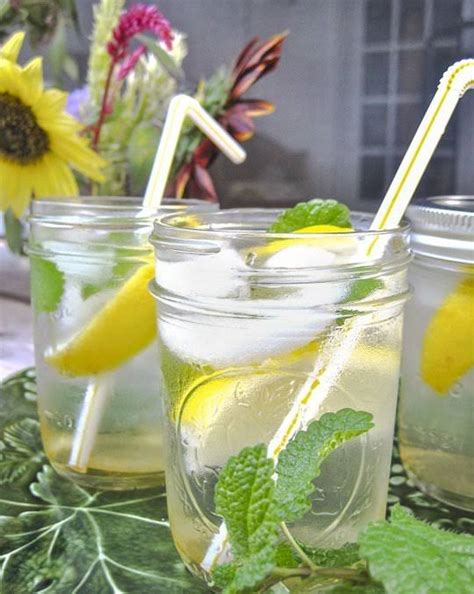 10-best-lemon-balm-drink-recipes-yummly image