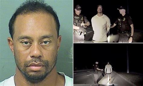 tiger-woods-had-cocktail-of-drugs-in-system-during-arrest image