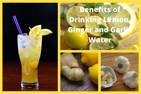 benefits-of-drinking-lemon-ginger-and-garlic-water image