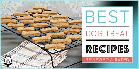 top-10-dog-treat-recipes-2023-easy-homemade image