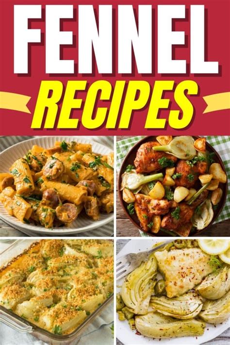 25-best-fennel-recipes-insanely-good image