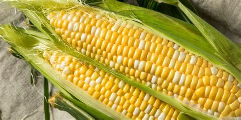 corn-on-the-cob-your-way-unl-food image