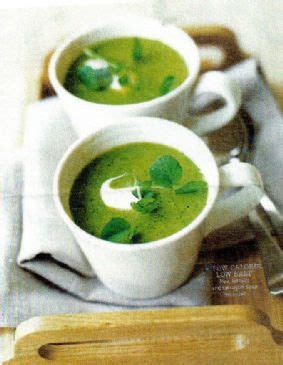 pea-lettuce-tarragon-soup-recipe-sparkrecipes image