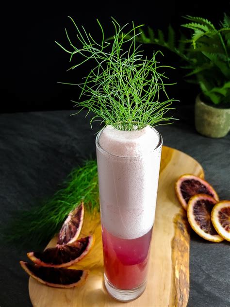 blood-orange-fizz-cocktail-contessa image