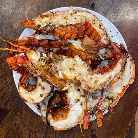 grilled-california-spiny-lobster-oc-wild-seafood image