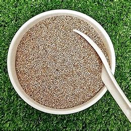 how-to-use-chia-seeds-in-smoothies-tips-guidances image