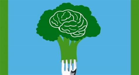 5-reasons-why-broccoli-is-the-ultimate-brain-food image