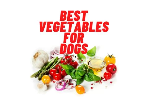 20-best-vegetable-for-dogs-safe-and-beneficial-veggies image