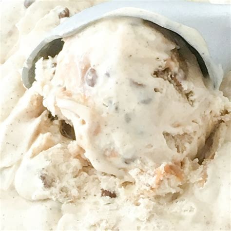 lentil-praline-ice-cream-potluckohmyveggiescom image