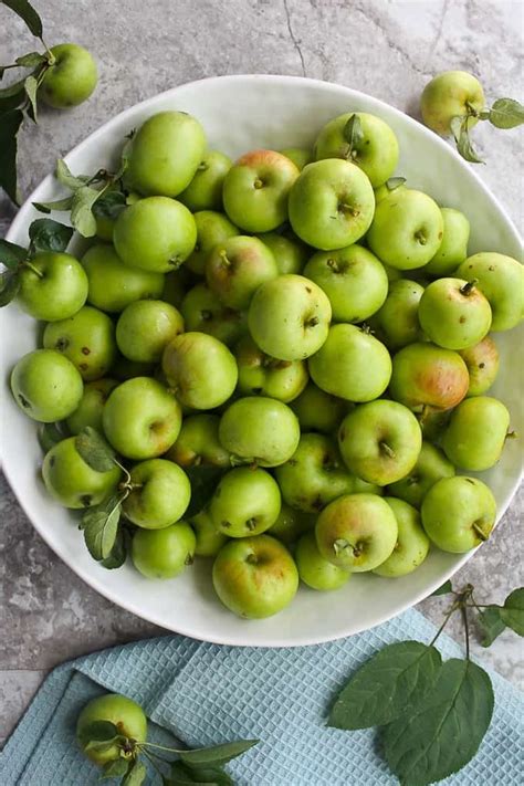 crabapple-recipe-slow-cooker-apple-butter image
