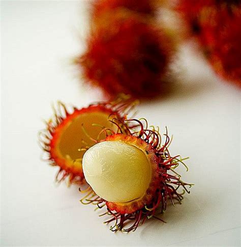 lychees-longan-rambutan-steamy-kitchen image