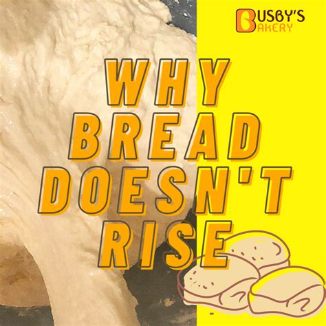 13-reasons-why-my-bread-didnt-rise-lets-fix-it-fast image