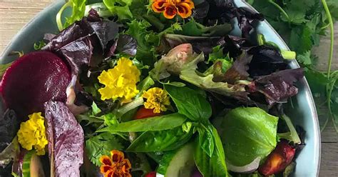 10-best-fresh-spring-mix-salad-recipes-yummly image