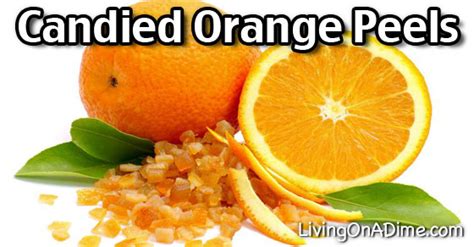 8-easy-ideas-and-recipes-using-oranges-living-on-a image