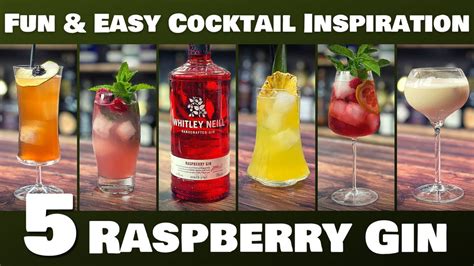 5-easy-cocktails-with-raspberry-gin-stevethebarman image