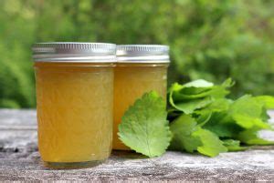 how-to-make-herbal-jelly-savory-or-sweet-creative-canning image