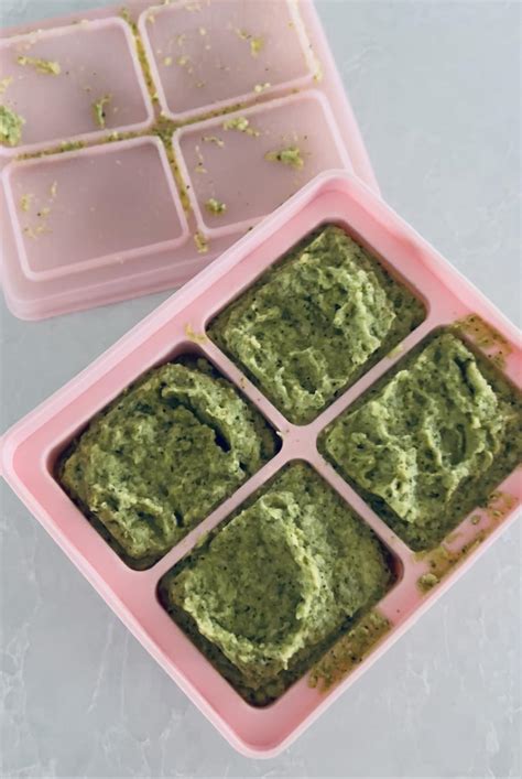 broccoli-chickpea-puree-recipe-starting-solids image