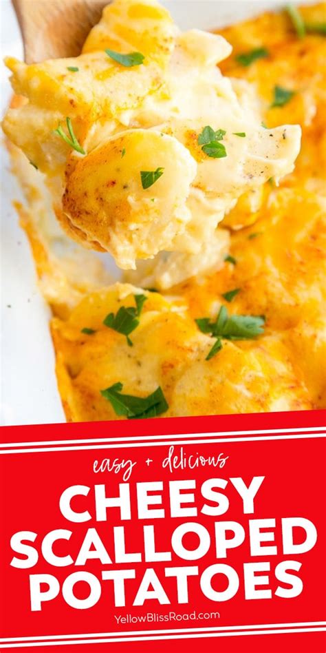 cheesy-scalloped-potatoes-au-gratin-yellow-bliss-road image